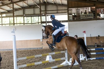 Bild 70 - Pony Akademie Turnier